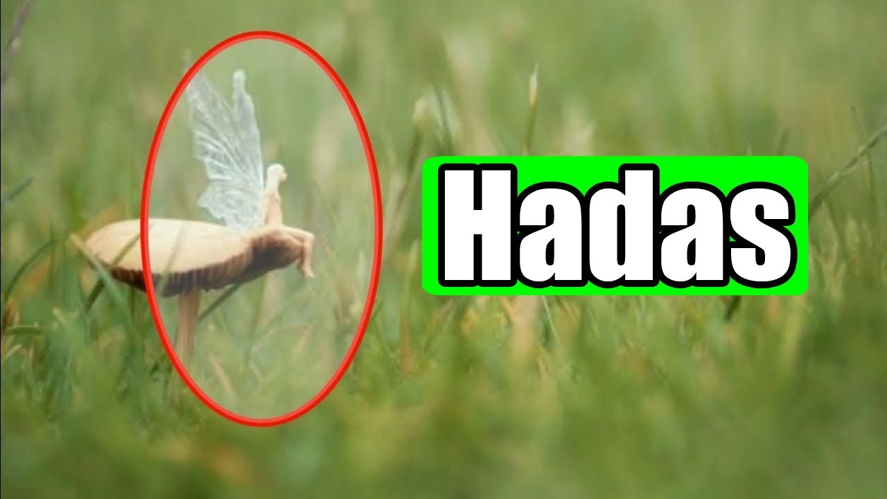 5 videos de Hadas reales captadas en c&aacute;mara 2024