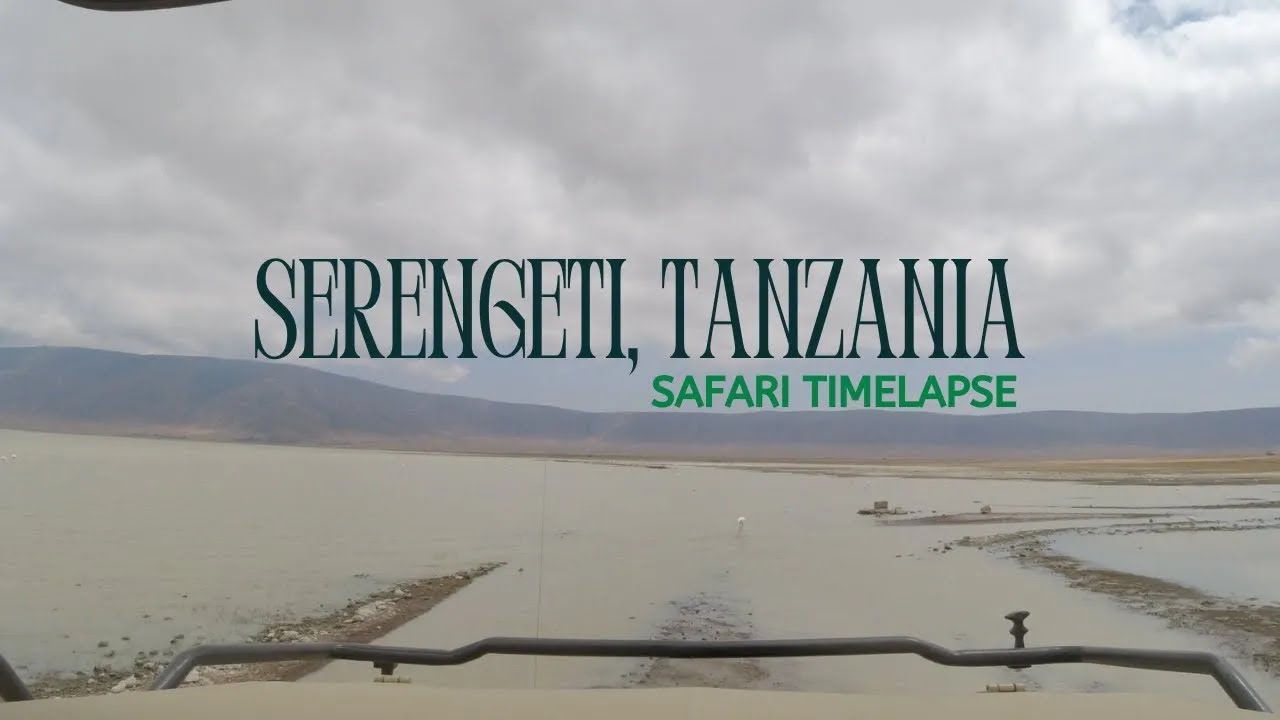 Serengeti, Tanzania | Safari Timelapse with Hippos & Birds 🦛🦩
