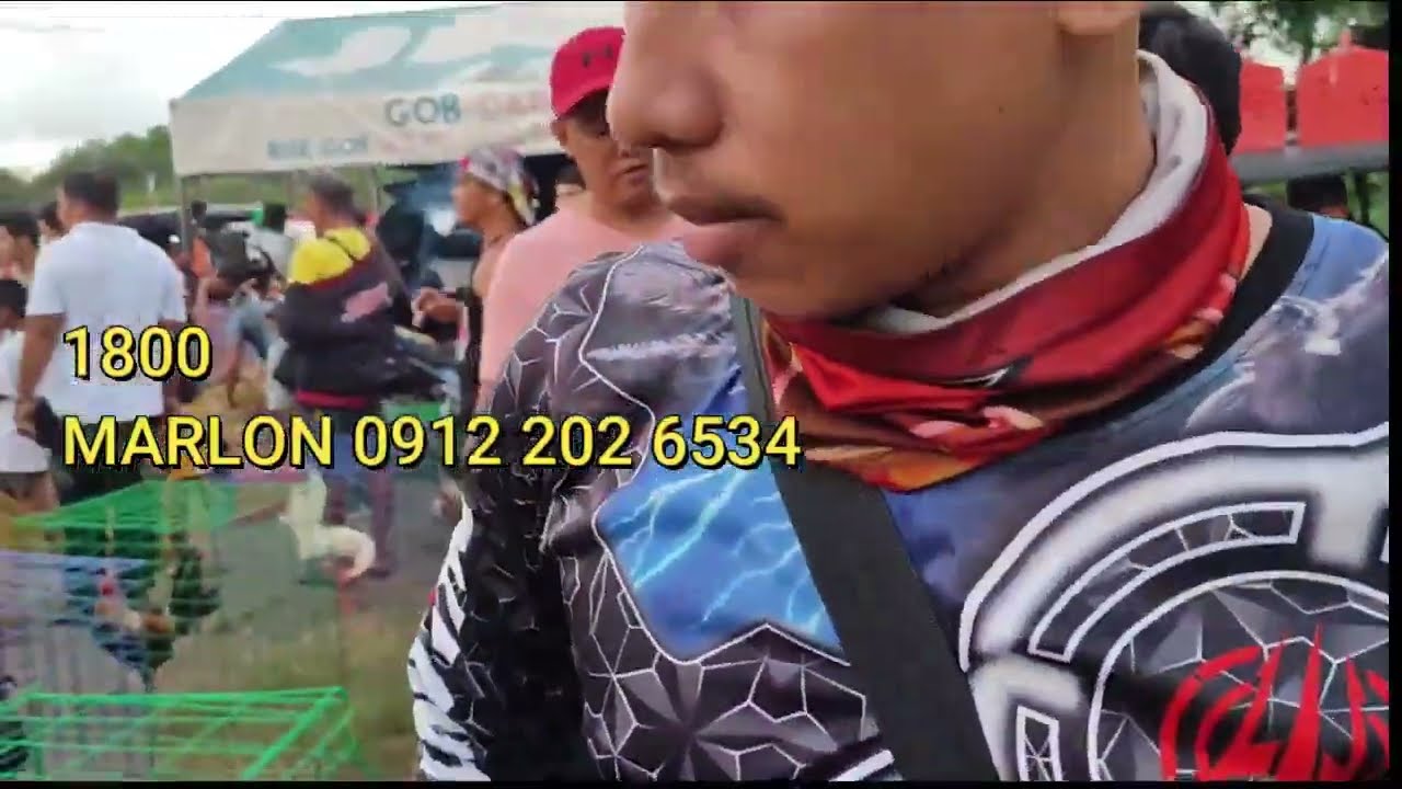 SOLID SWEATER NI BOSS JOEY 2 PIRASO 3500 LANG!.