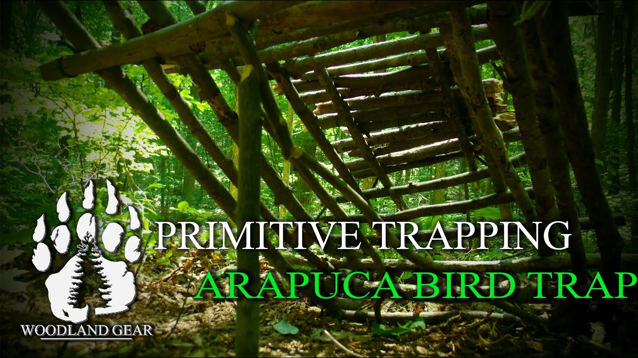 How To: Bushcraft The Arapuca Bird Trap
