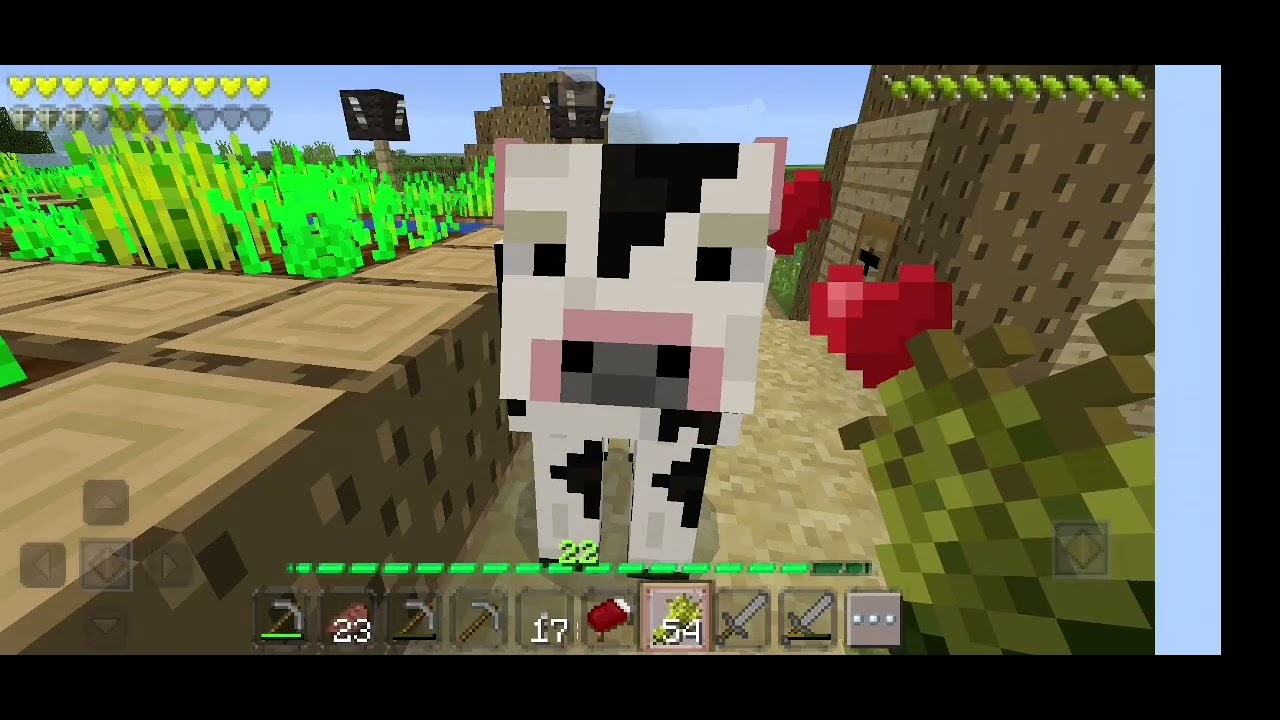 Minecraft. Harvest time! 