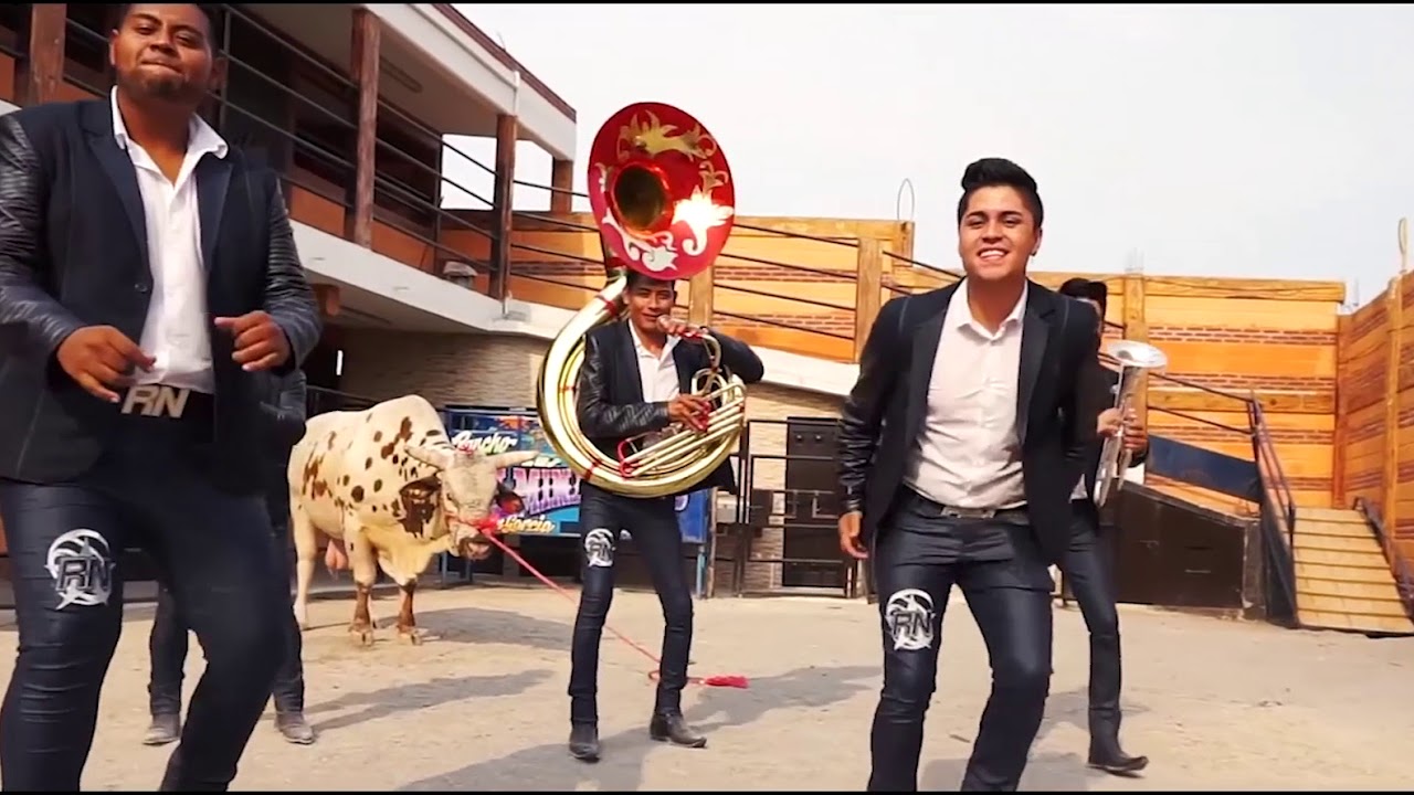 APOCALYPTO (Video Oficial) | BANDA LOS REYES DE LA NOCHE