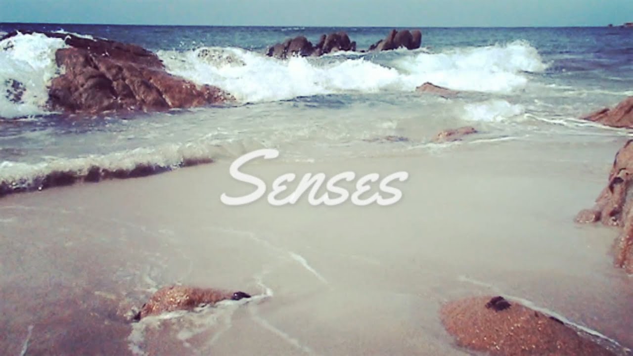 Sabaliba - Senses