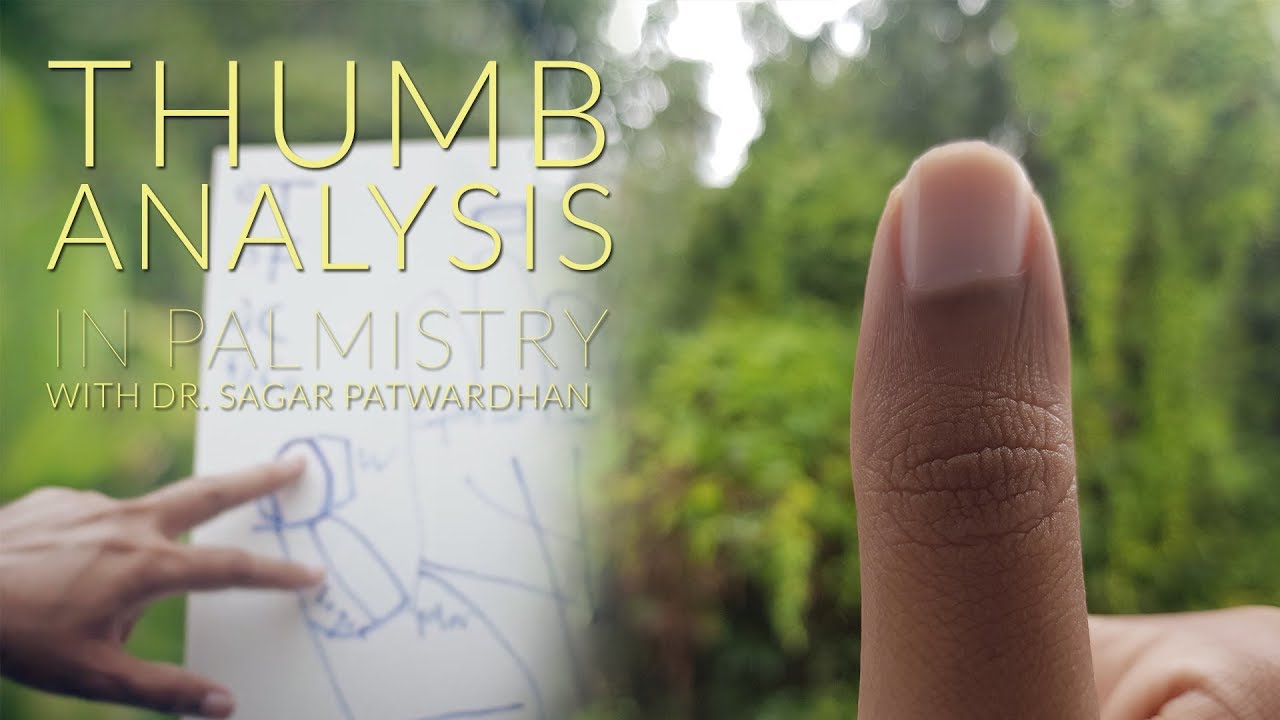Thumb Analysis in Palmistry (10/12)