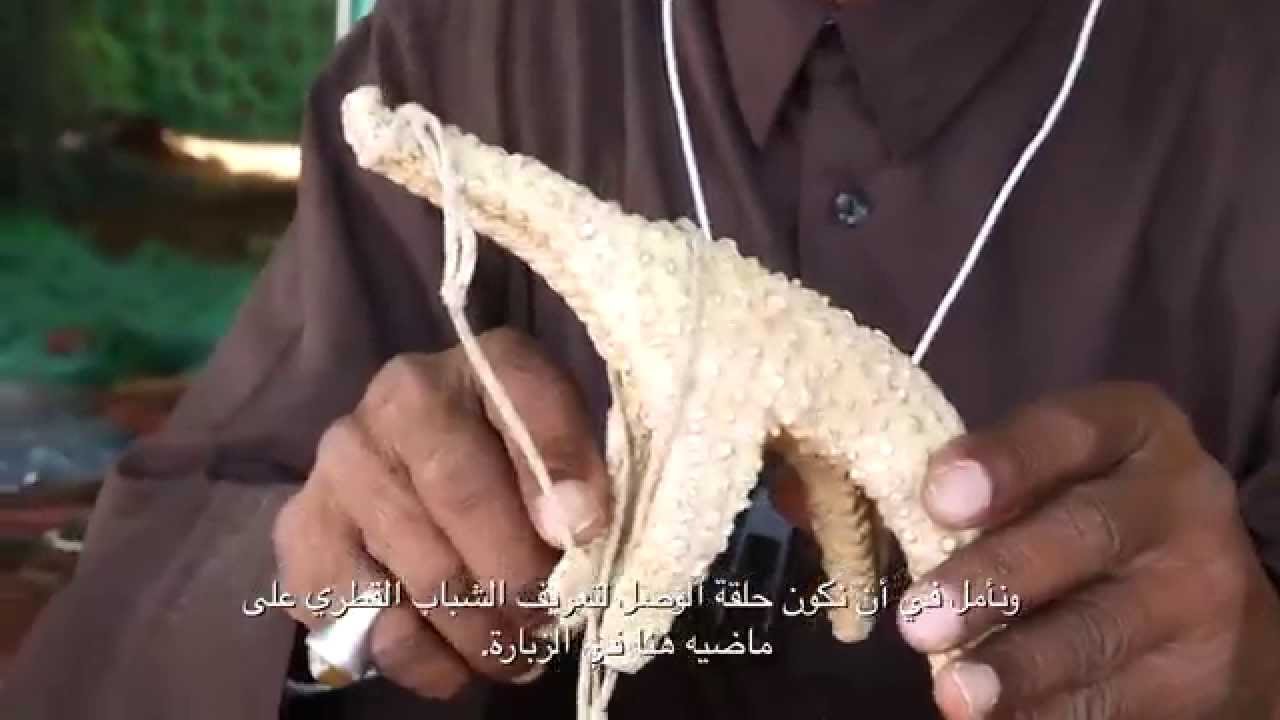 Al Zubara declared UNESCO World Heritage Site in June 2013