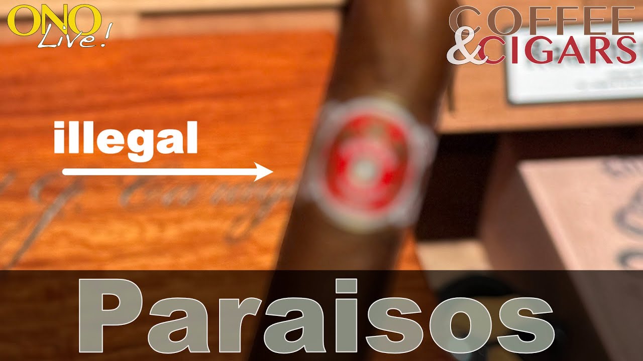 Punch Paraiso Petit Robusto Habano - OL 254