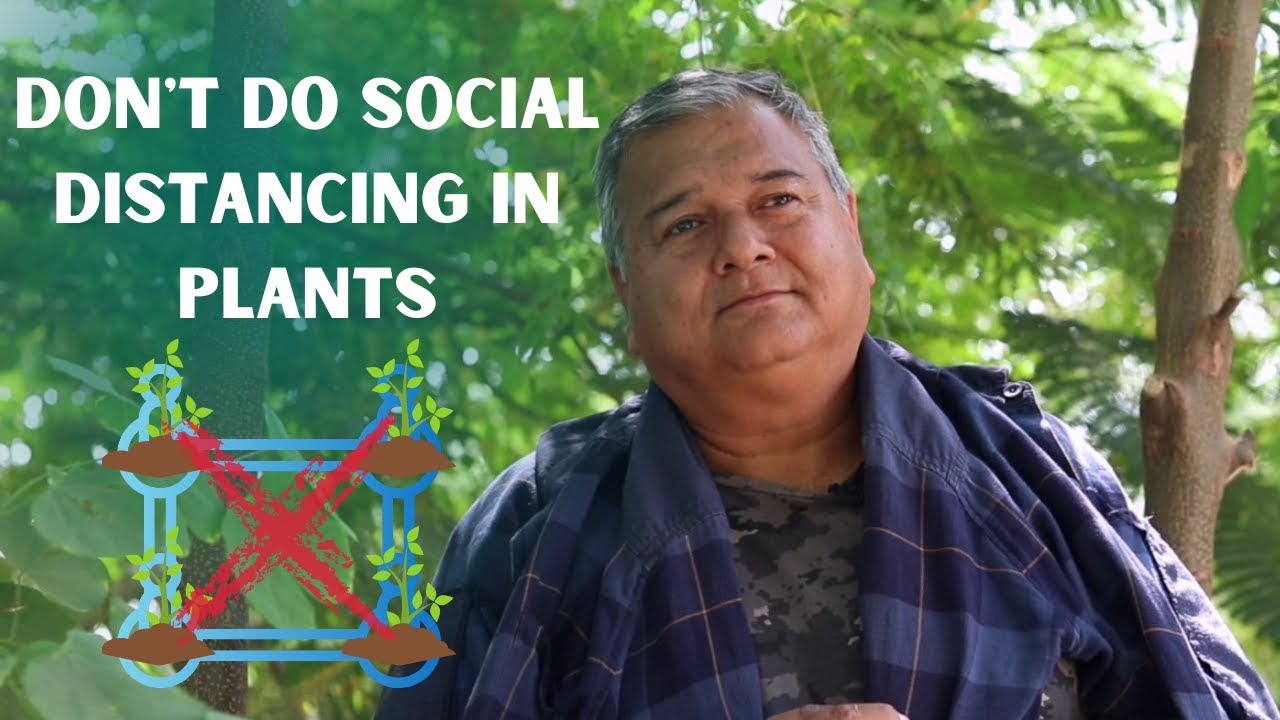 Don't do social distancing in plants | Peepal Baba