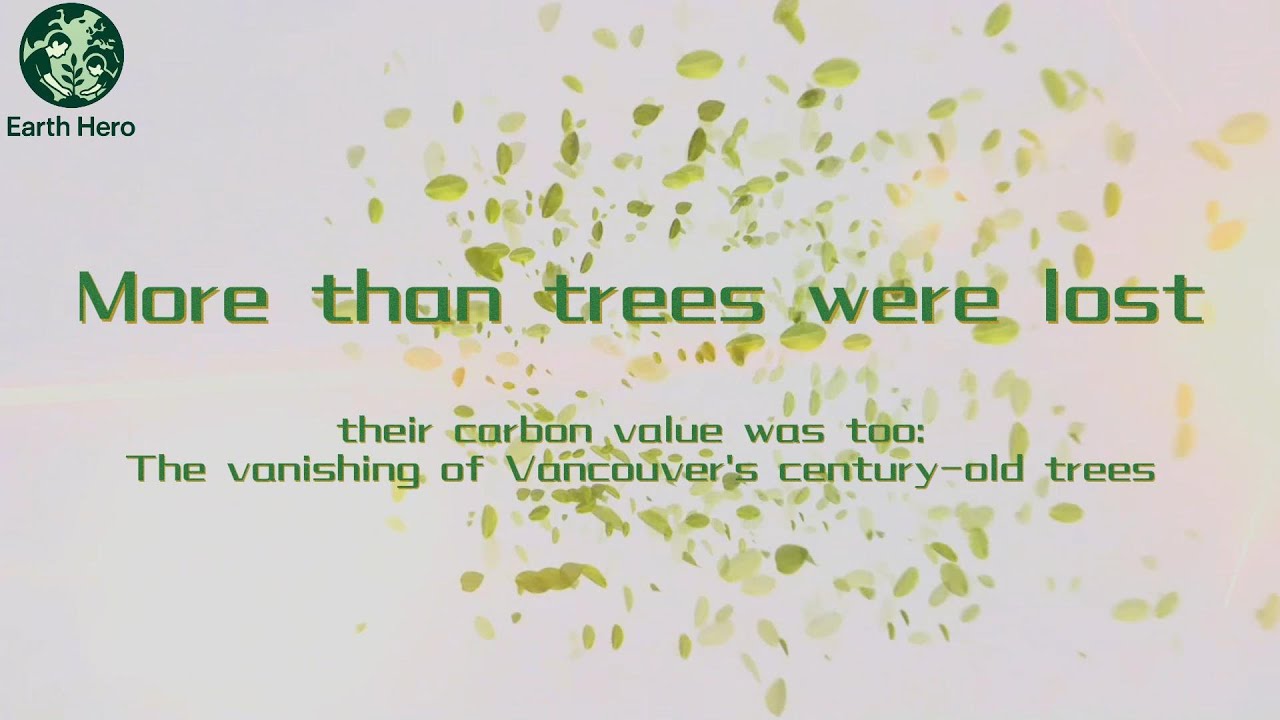 Saving Vancouver&rsquo;s Ancient Trees | Earth Hero&rsquo;s Fight for Urban Forests