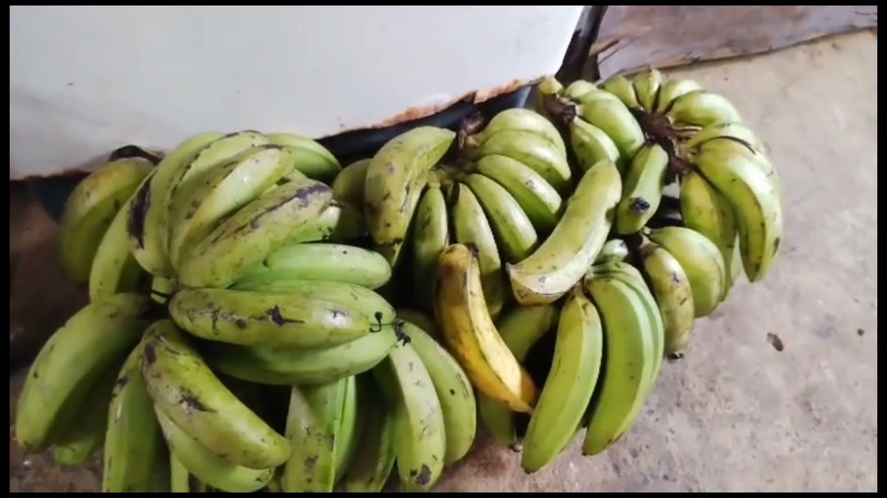 MEMANSUH DENGAN TANAM BUNGA