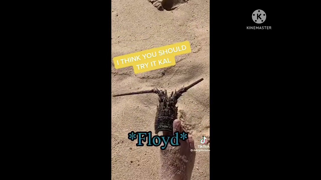 Disney Twisted Wonderland as Tik Toks Part 3