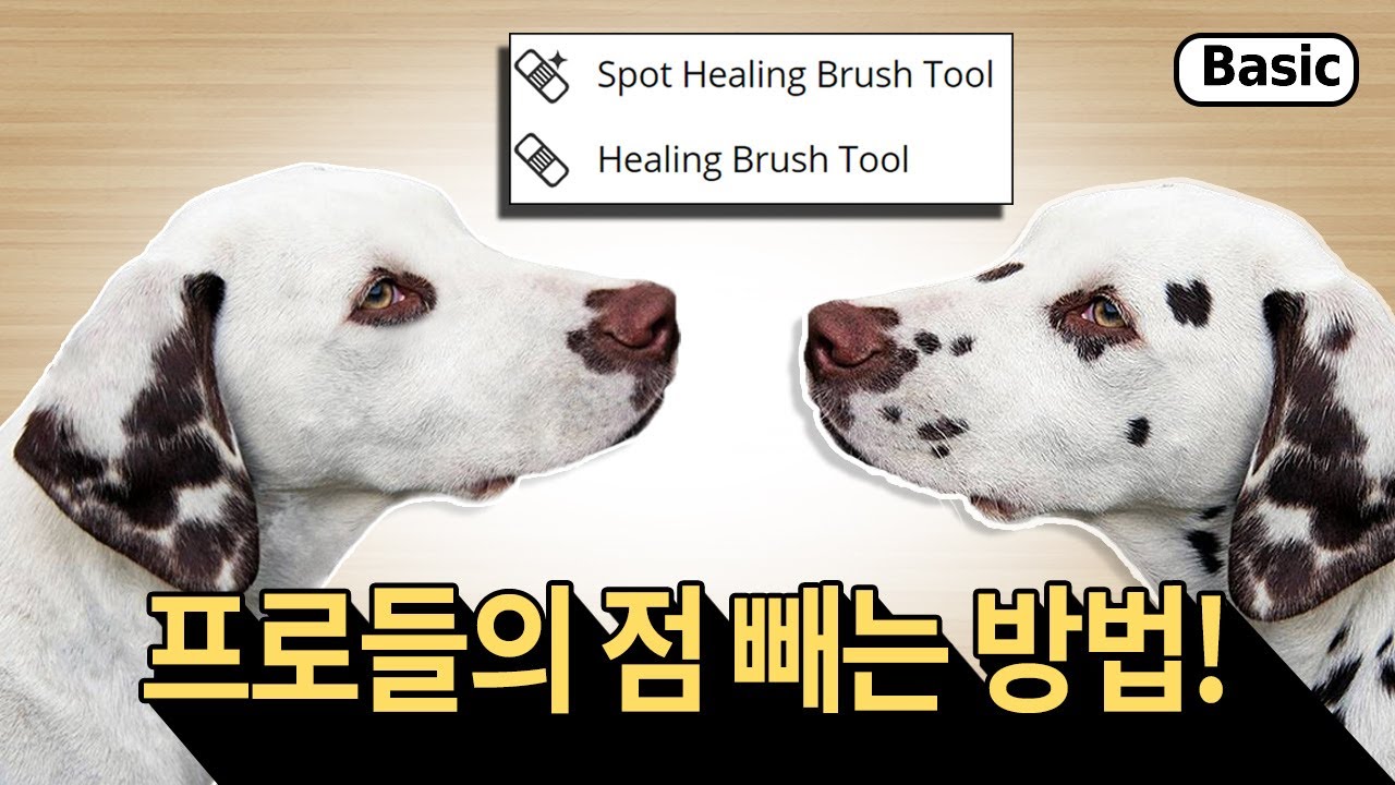 photopea 기초) 이 점은 내가 뺀다! 스팟 힐링 브러시 활용하기