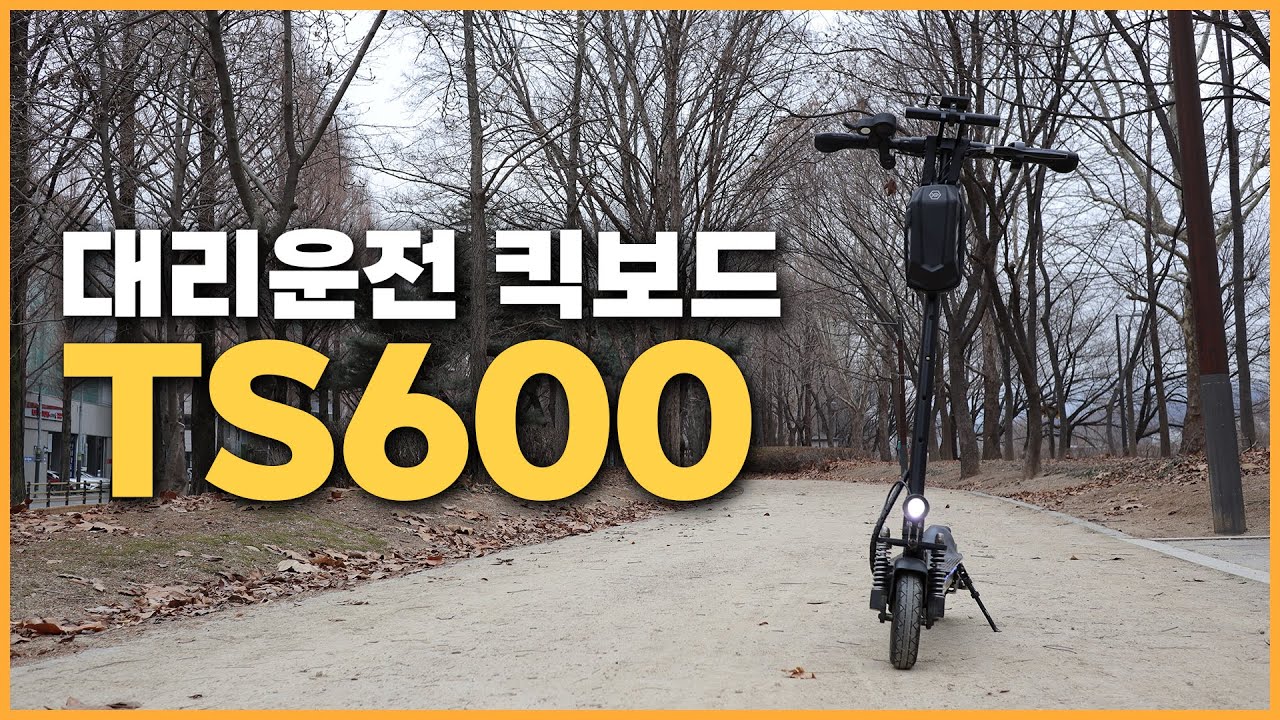 2년간 탄 대리운전용 킥보드 유로휠 TS600 장점과 단점 그리고 각종 후기를 알려드립니다.