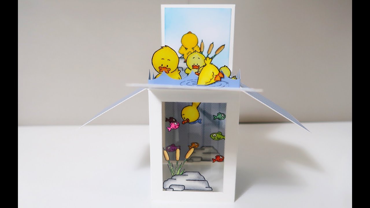 Pop Up Box w/ Bottom Window | Gerda Steiner Designs
