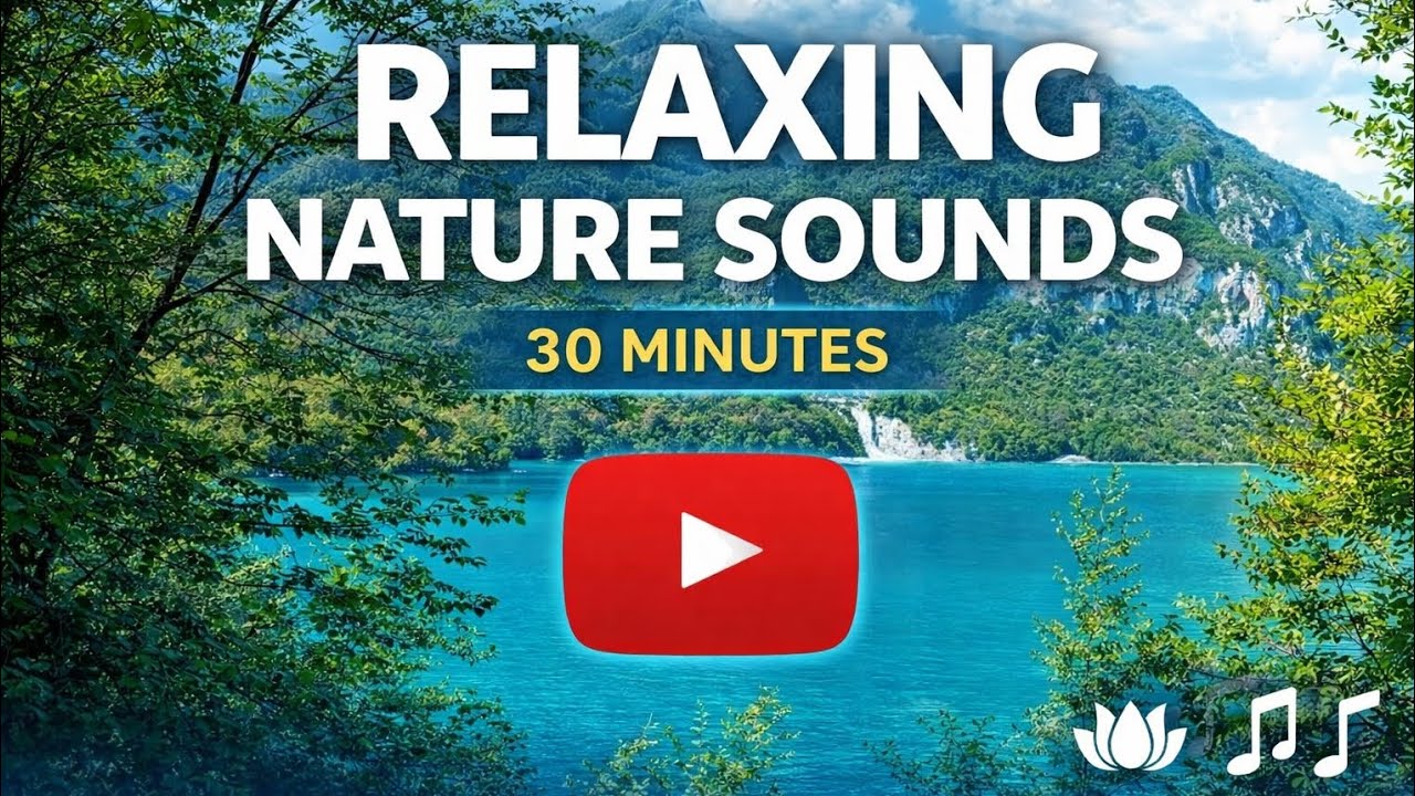 Relaxing Nature Sounds | 30 minutes