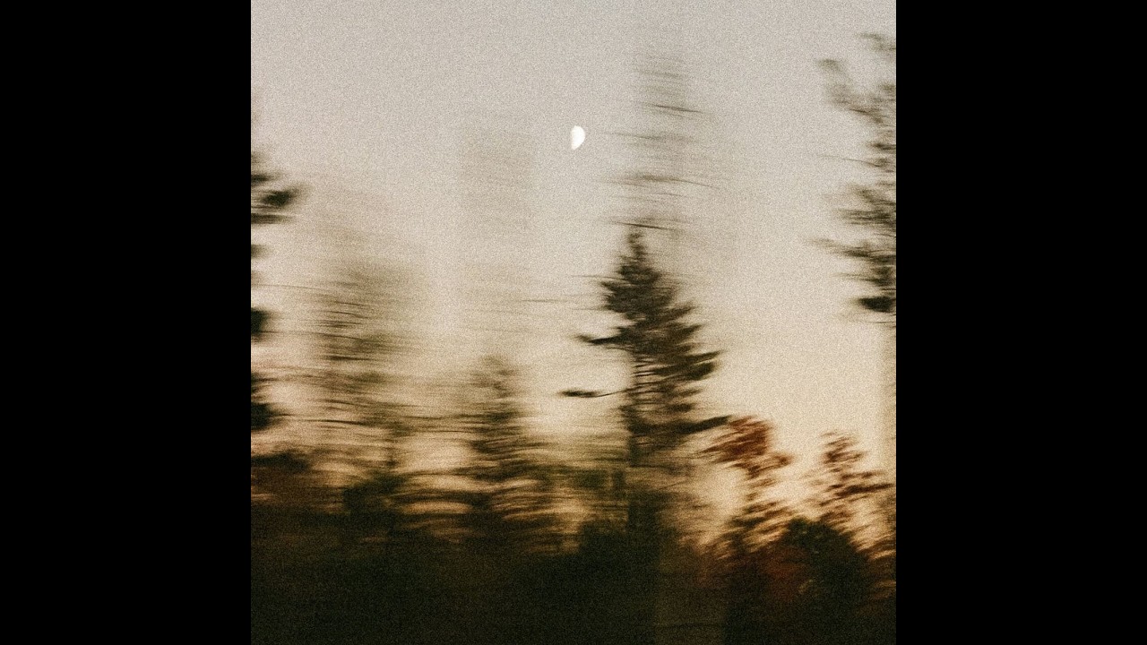 dijon type beat ✦HIKE✦