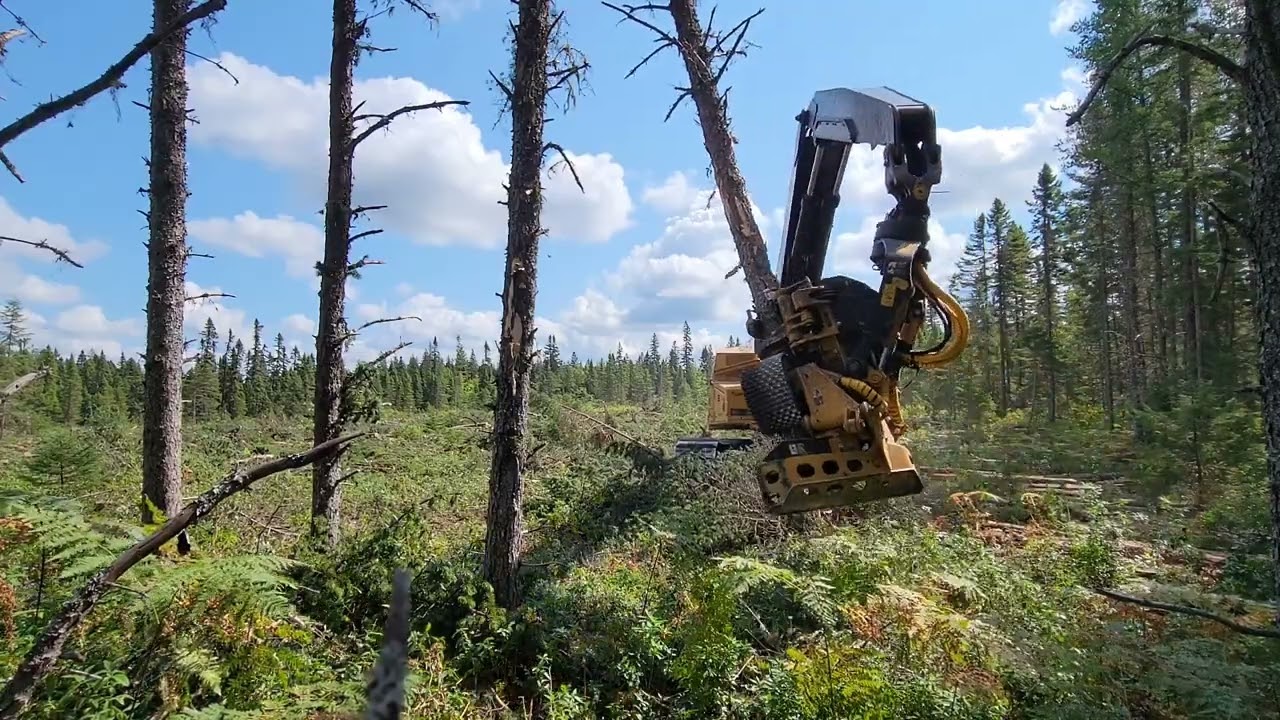 Tigercat 855E