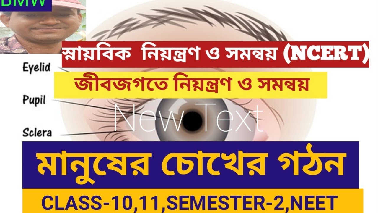 স্নায়বিক  নিয়ন্ত্রণ ও সমন্বয় (NCERT), জীবজগতে নিয়ন্ত্রণ ও সমন্বয় , মানুষের চোখের গঠন #neet#vvi