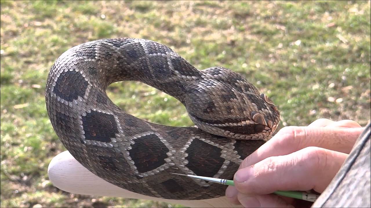 The Making of Wood Carved Rattlesnake Walking Cane #43