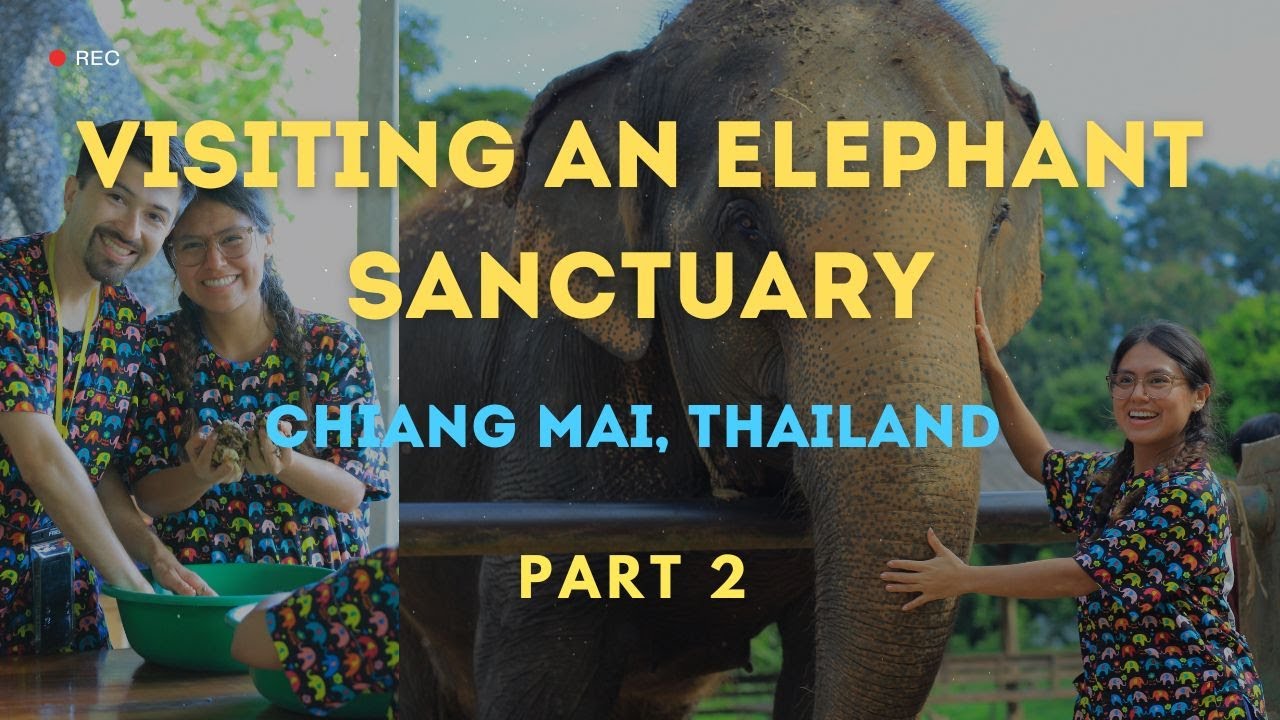 Thailand's Best Elephant Sanctuary Experience - Part 2 (2025)