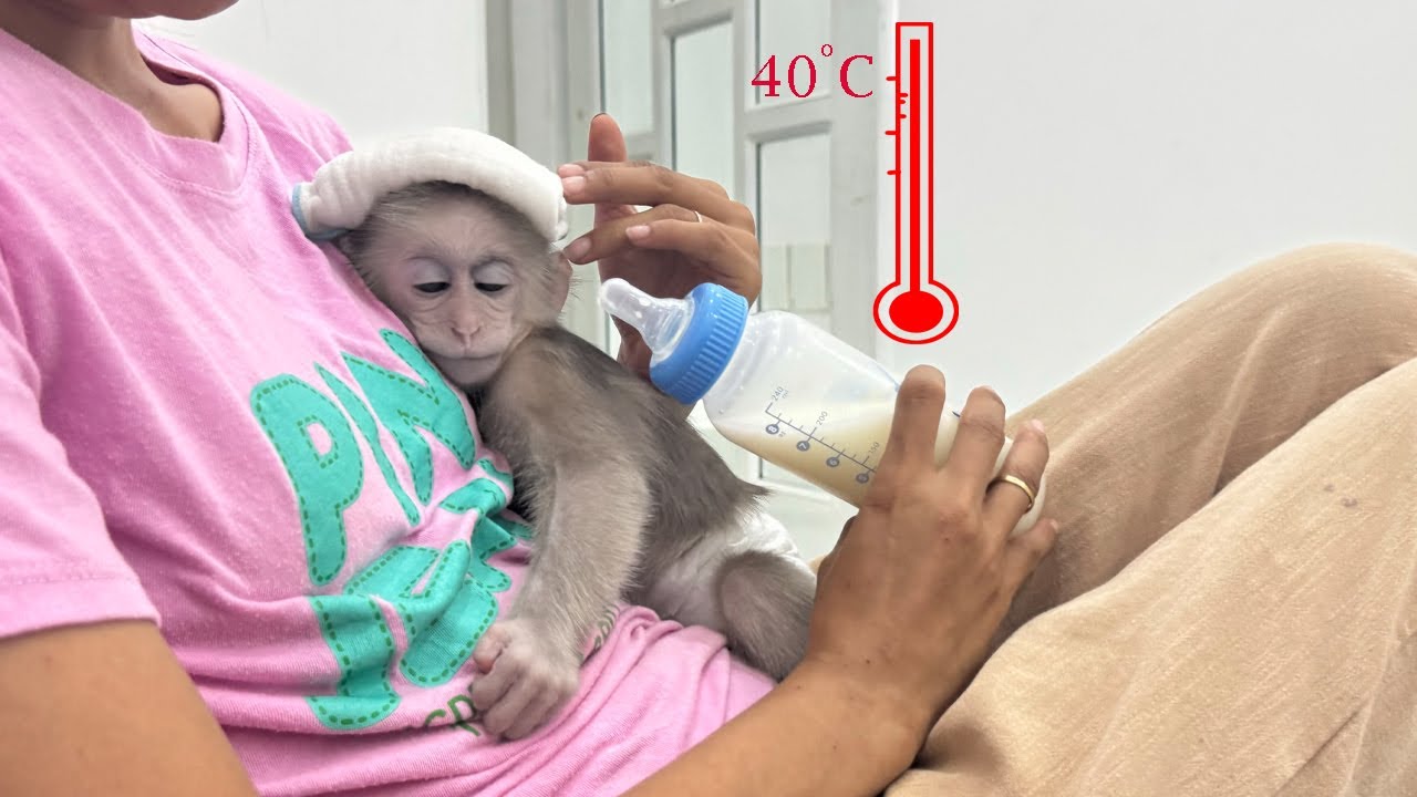 Poor Lucky: She was tired and had a high fever after getting vaccinated, making her mother worried