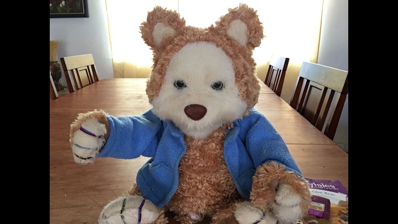 TJ Bearytales Without Fur