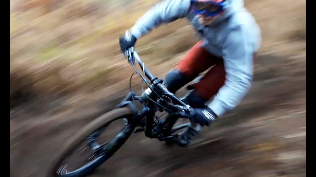Loamy Shred Rude Skov