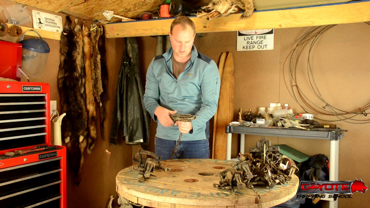 Coyote Trapping - Preseason Trap Preparation