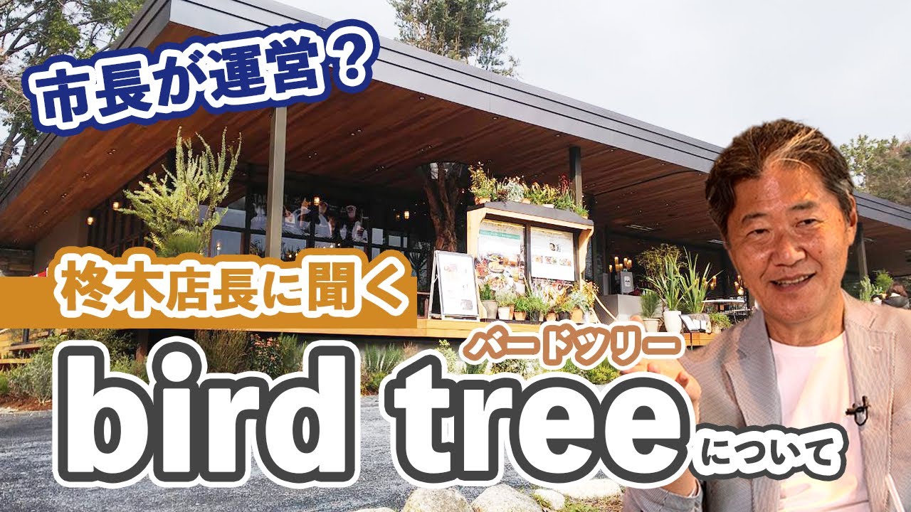 【吹田市長】大人気のパークインカフェ、バードツリーについて