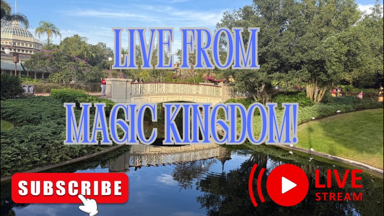 Live Magic Kingdom with Unexpected Christmas and Crowds!!!