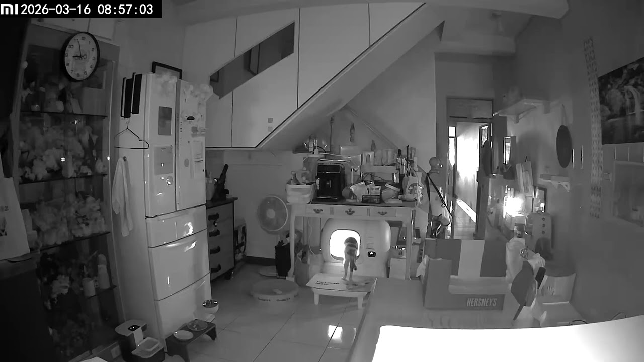 原來，他下來還先吃，吃吃喝喝好不快活。然後走進那台機器，像上了時光機