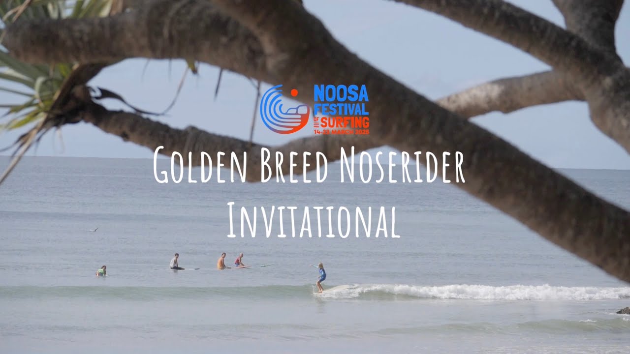 Golden Breed Noserider Invitational Division Noosa Festival of Surfing 2025