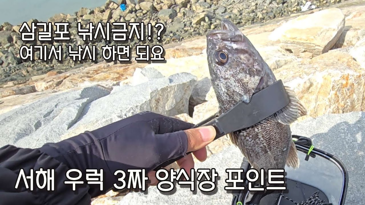 삼길포 항 낚시금지? 여기서 낚시하세요 / 서해 발판 좋은 석축 낚시 포인트 / 광어 우럭 숭어 고등어 학꽁치 전어 포인트