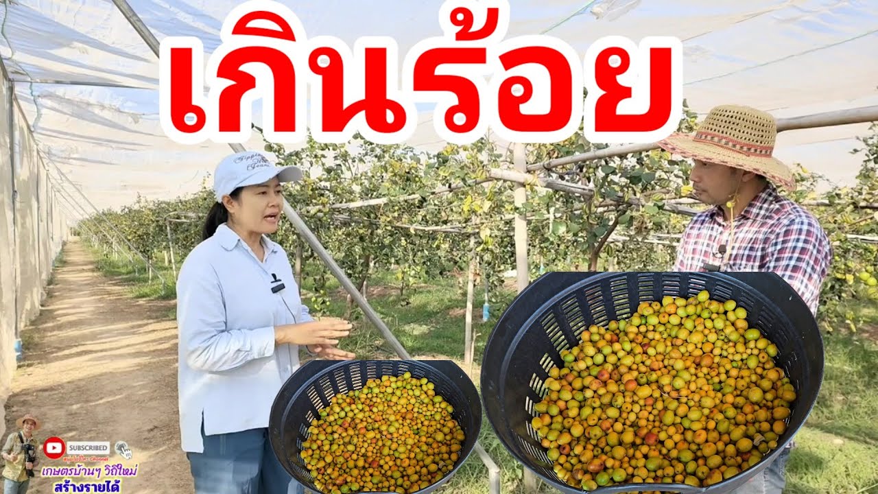 พื้นที่เล็ก ๆ แต่หัวใจใหญ่ ถ้าเราทำให้สุด พุทราก็เลี้ยงครอบครัวได้