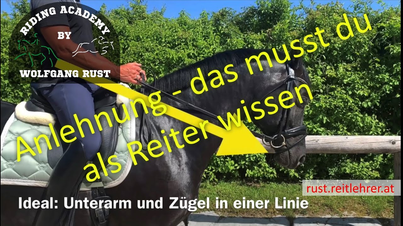F27: Pferde mit feiner Anlehnung am Zügel reiten lernen, Kriterien, Fehler. Die feine Zügelhilfe!