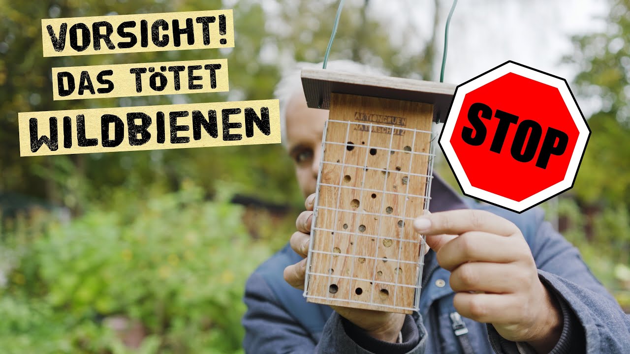 Machst du auch diesen Fehler bei Bienenhotels im Herbst und Winter? Wildbienen Nisthilfen s&auml;ubern?