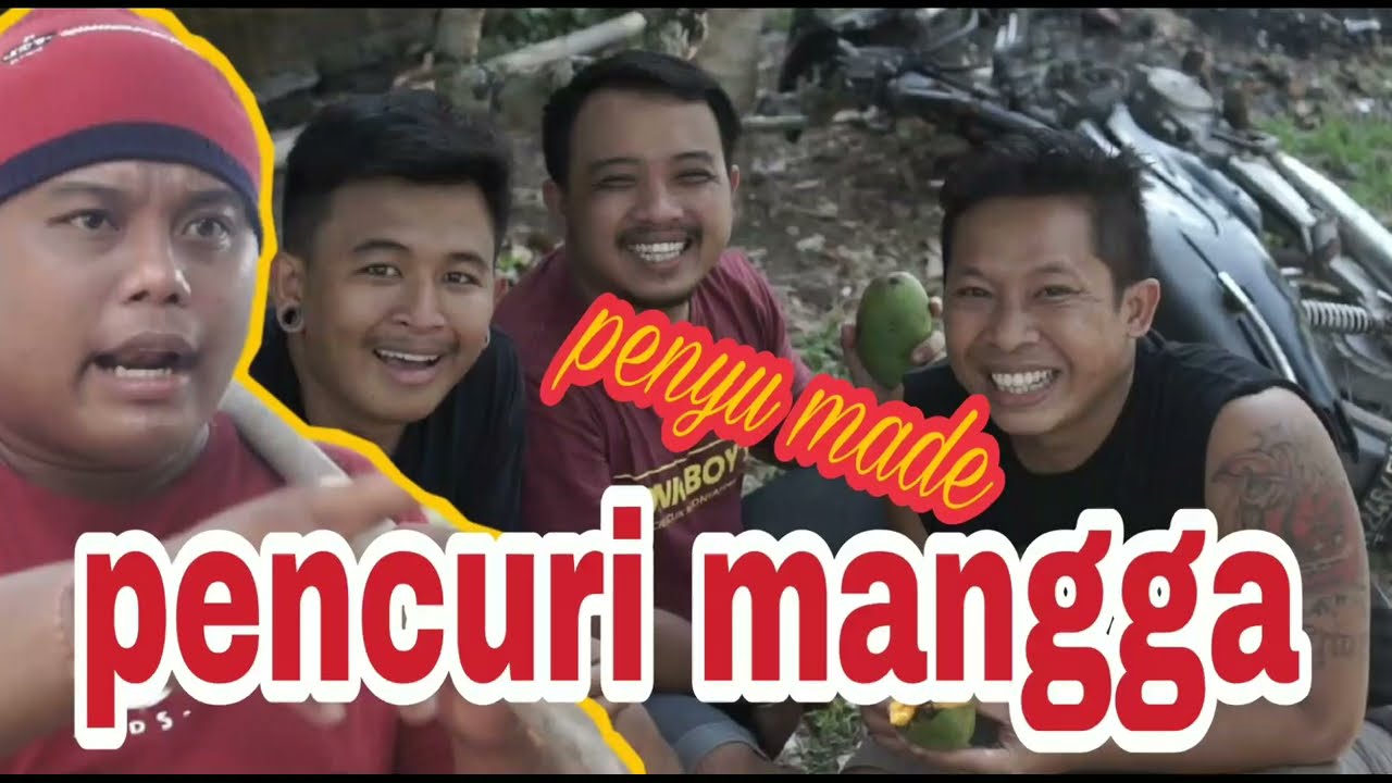 PENCURI MANGGA