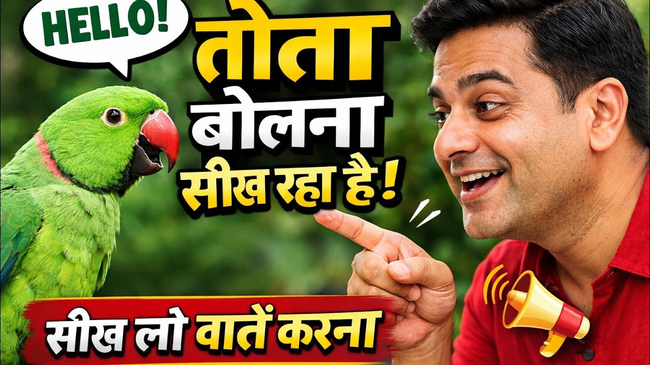 Perrot speaking 🗣️ #parrot #talkingparot #perrottvideo #birds #viral #shorts 