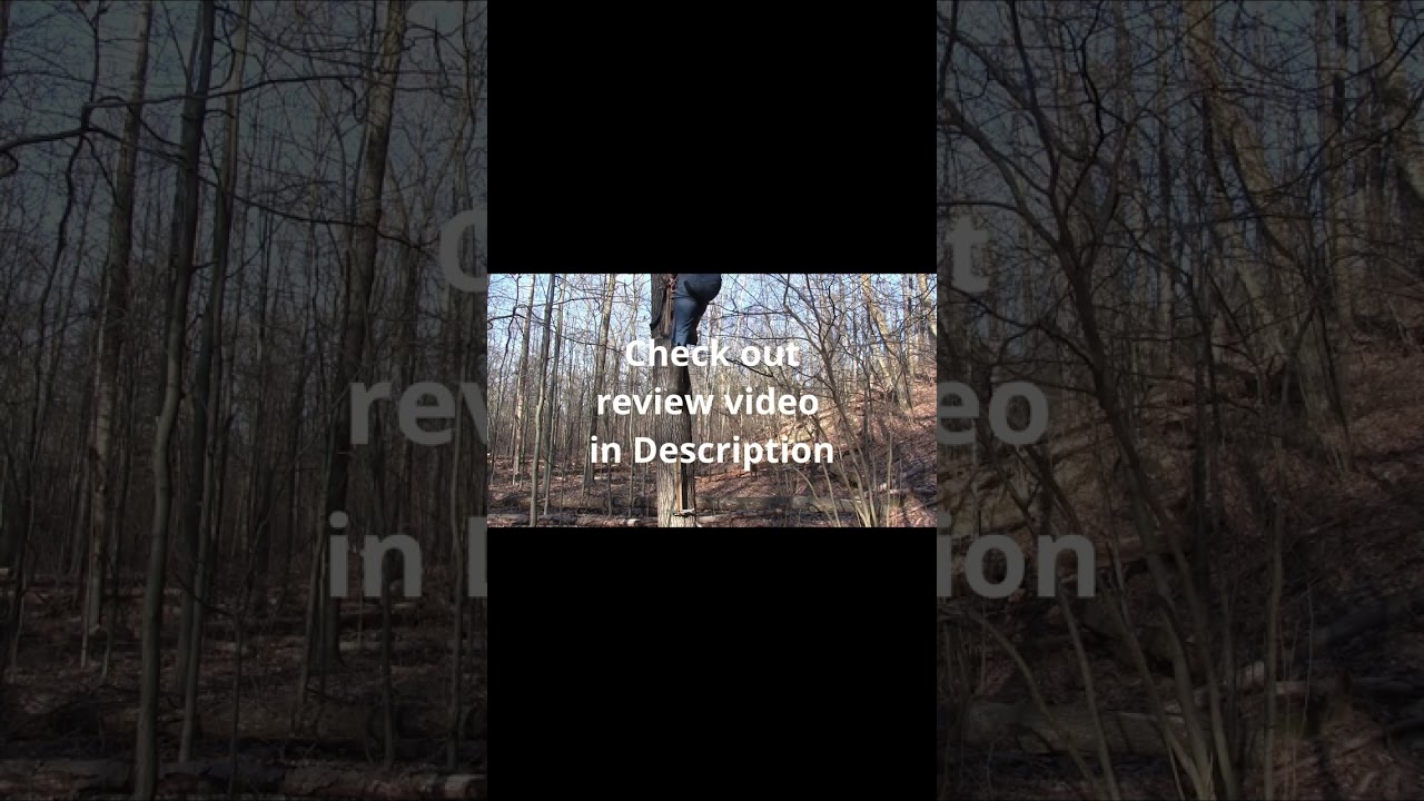 Skeletor Climbing Sticks By Tethrd: My favorite Climbing Sticks: Full Review In Description 