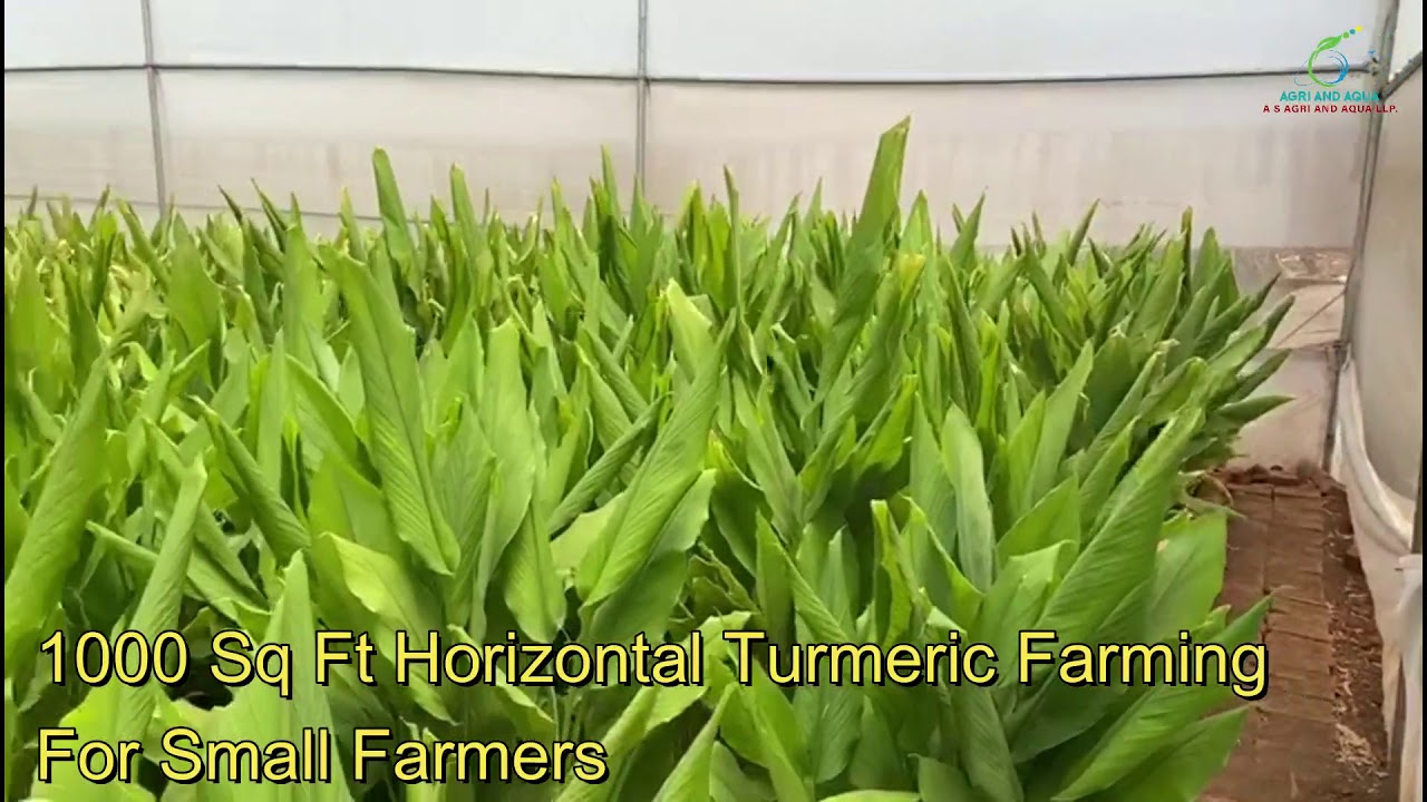 1000 Sq Ft Horizontal Farming 2