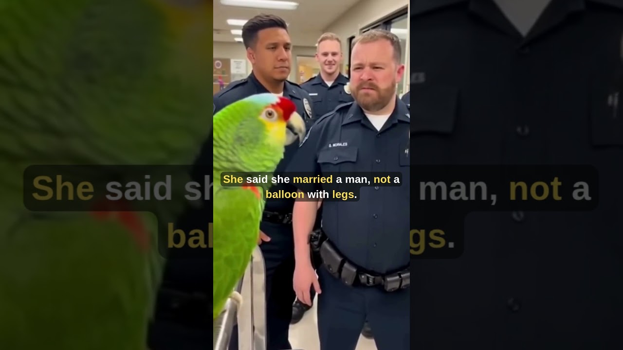 Police vs Parrot: The Roast Battle #birds #parrottalking #viral