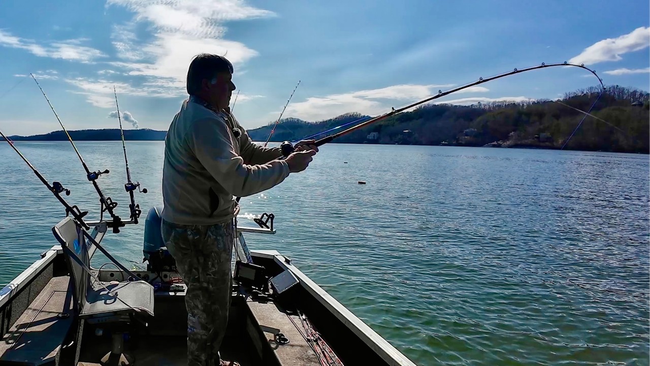 Fishing The Shad Kill