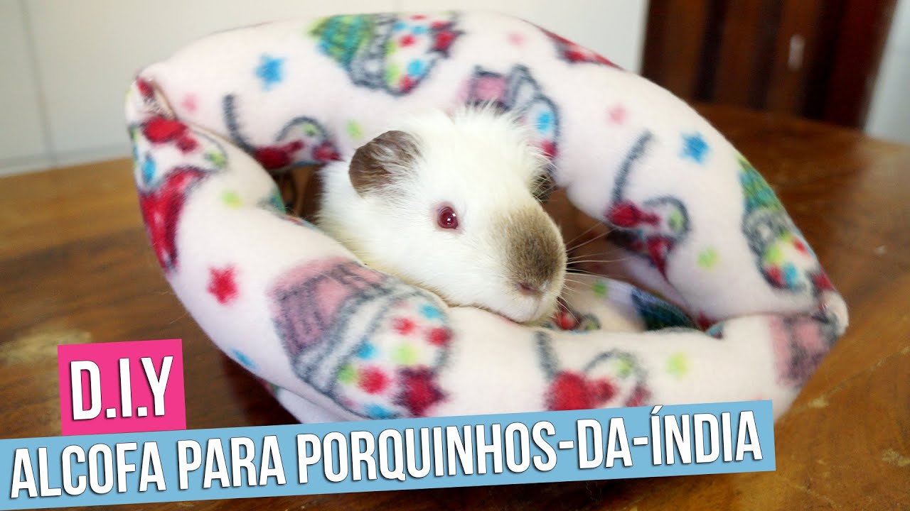 DIY — ALCOFA PARA PORQUINHOS DA ÍNDIA