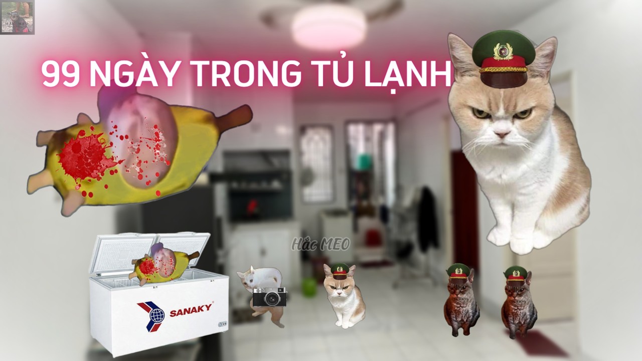99 NGÀY TRONG TỦ LẠNH | Hắc MEO | Trinh thám bằng meme mèo