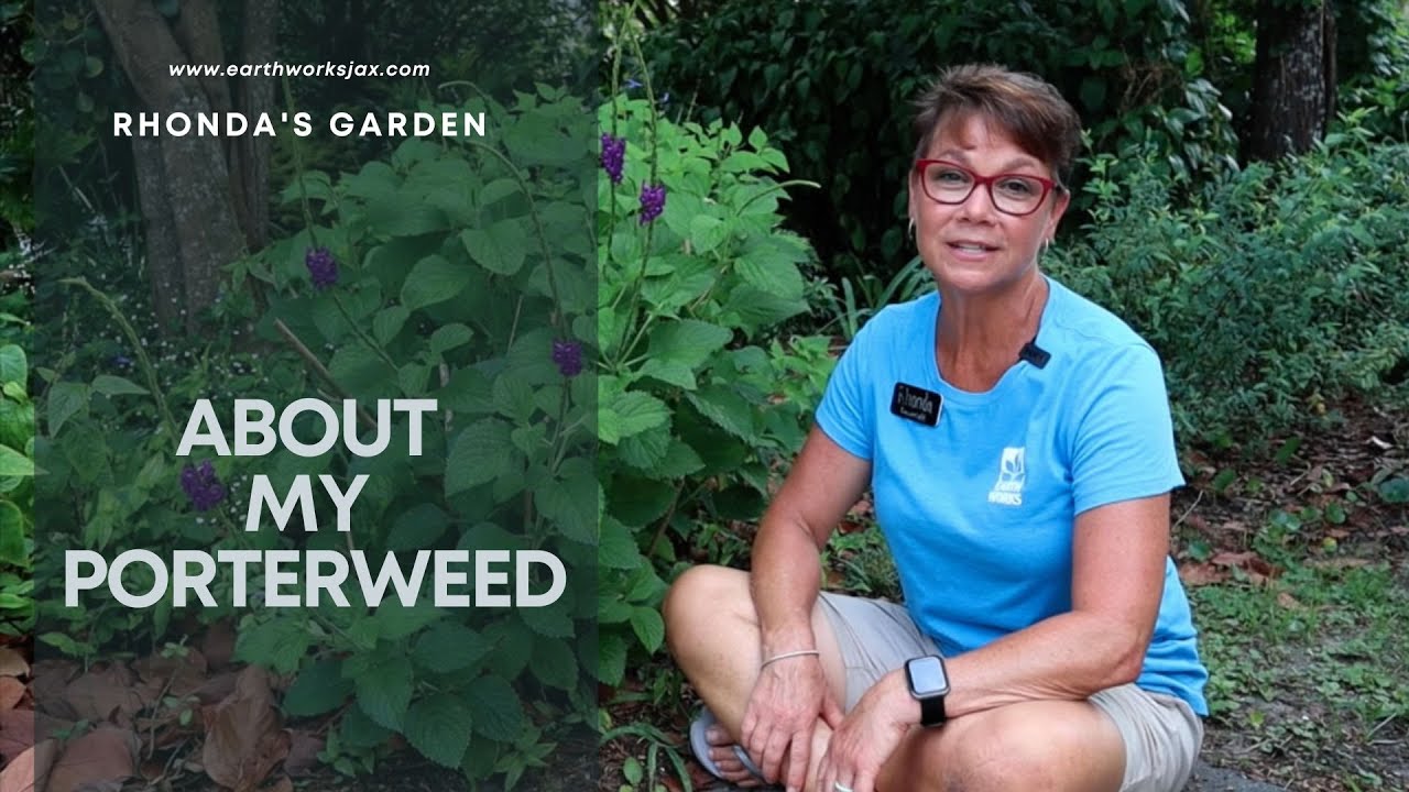 About My Porterweed: Rhonda's Garden