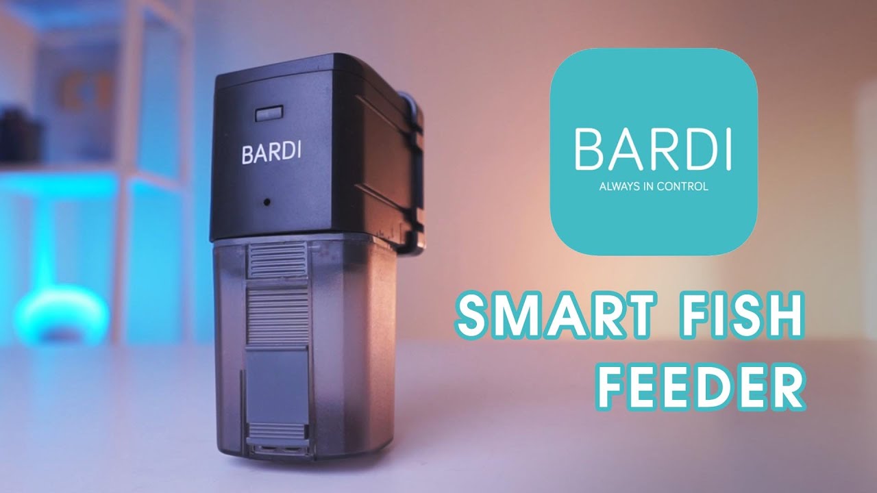 Mesin Pemberi Makan Ikan Otomatis! | BARDI Smart Fish feeder