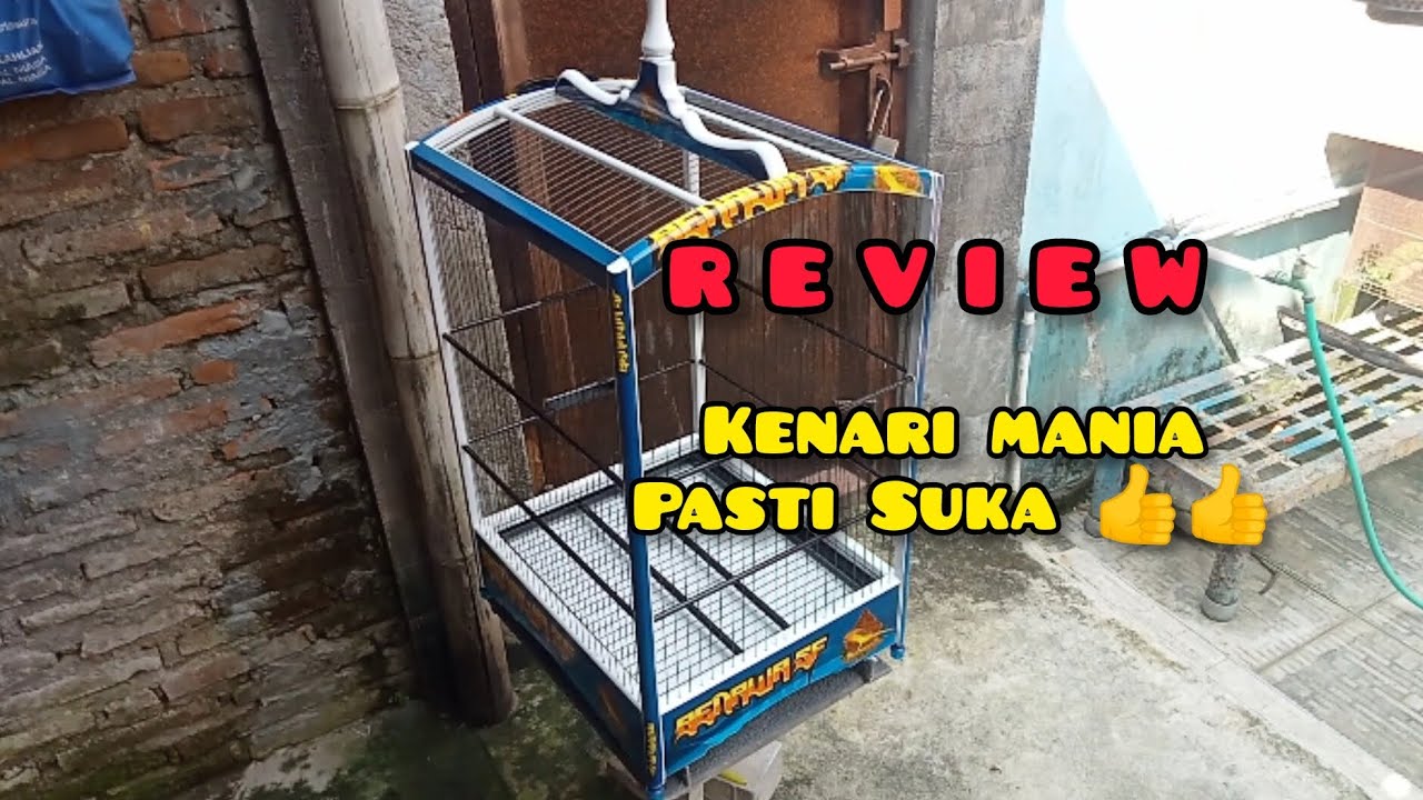 Sangkar Kenari kualitas @SerdaduSangkarIndonesia