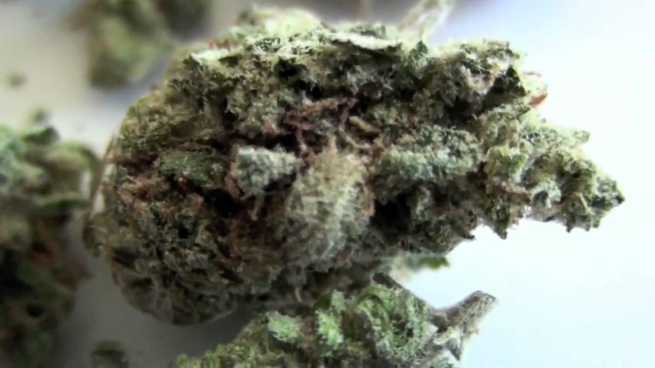 Platinum OG - Read Description *