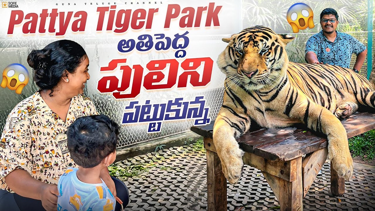 పట్టాయాలో పెద్దపులితో సెల్ఫీ 🐯 | Bangkok trip in friendly budget😎