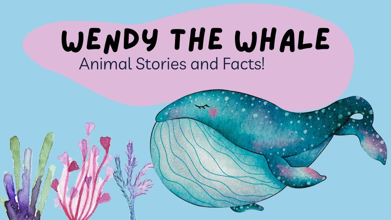 Animal Stories and Facts for Kids | Wendy the Whale