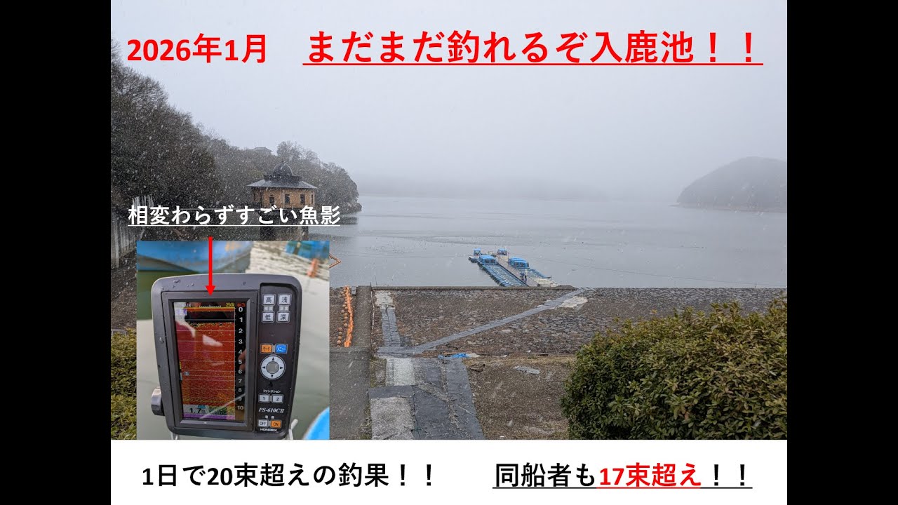 2026年1月29日  まだまだ釣れるよ入鹿池　　20束超えの釣果　　重量4㌔超え